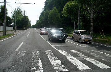 北海道札幌市のit 調査コンサルタントtravi